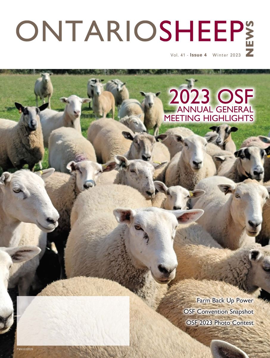 Winter Issue 2023