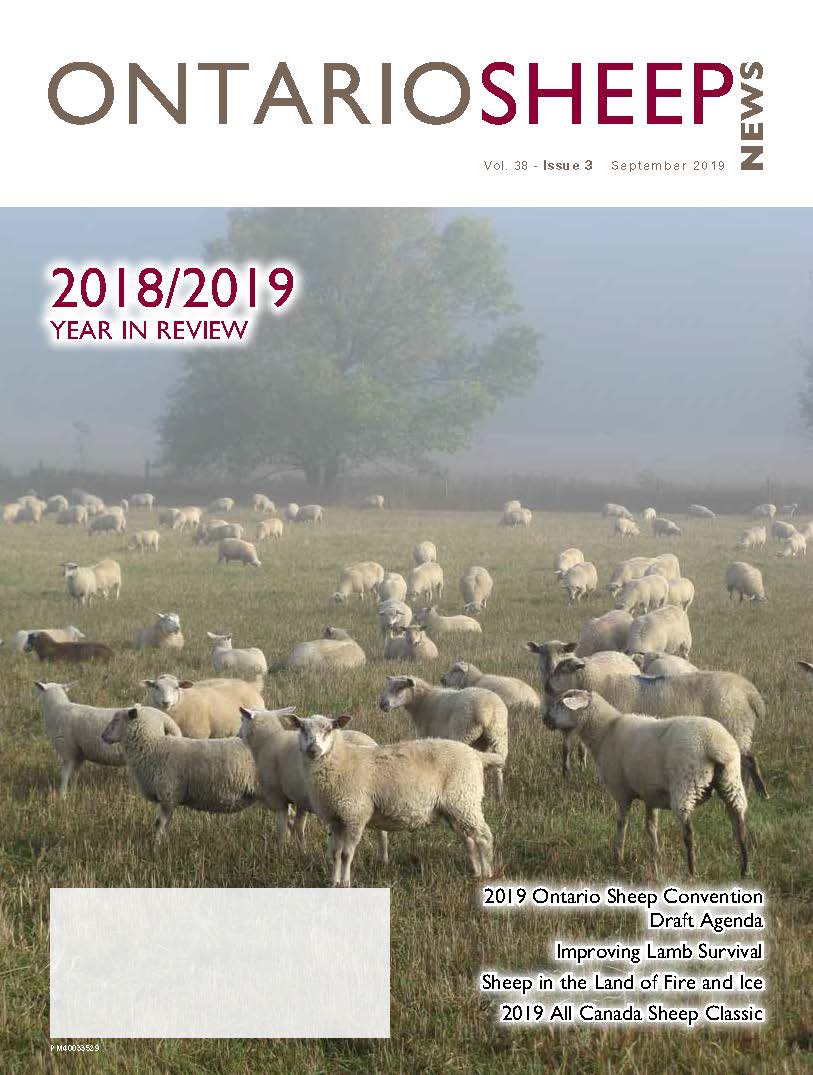 September 2019 Issue