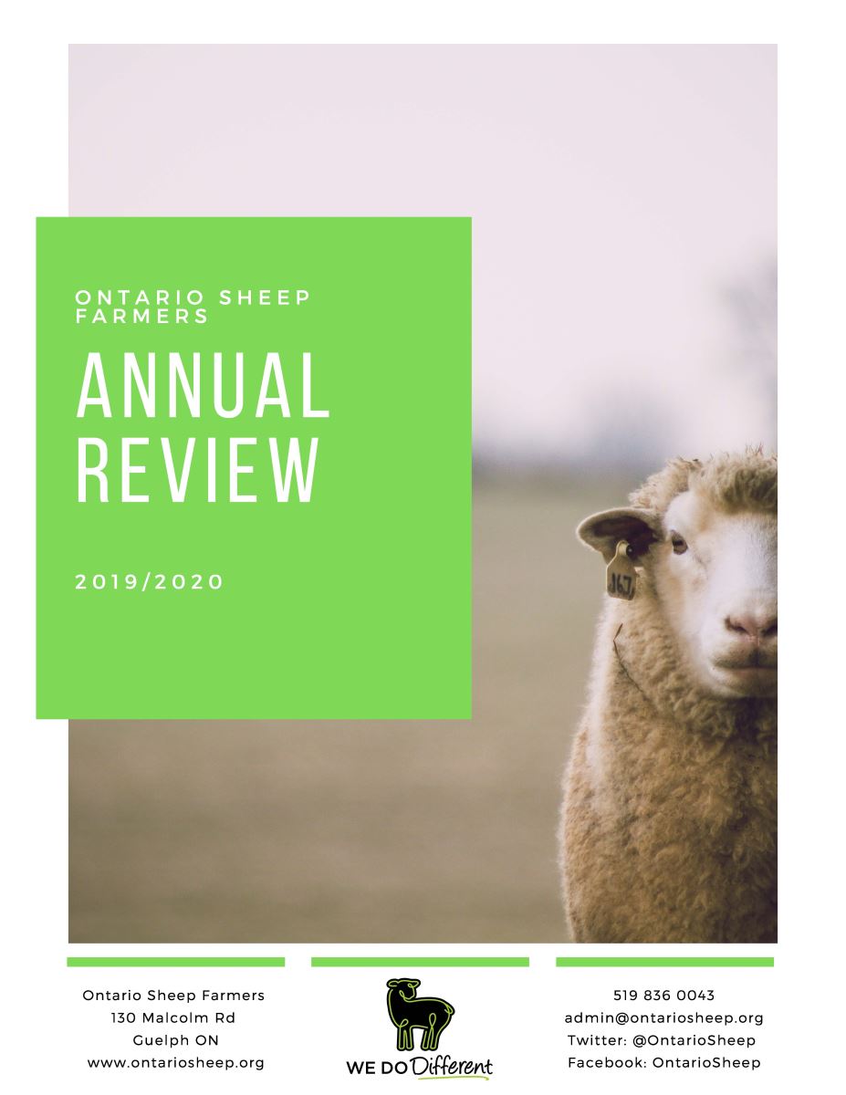 2019-2020 Annual Review