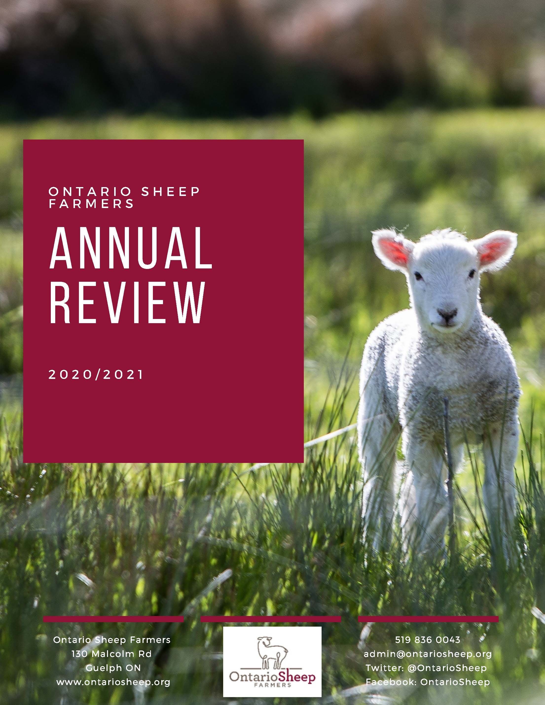 2020-2021 Annual Review