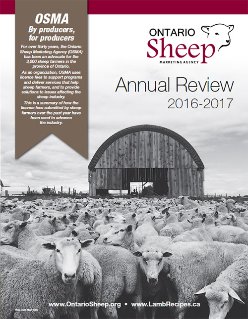 2016-2017 Annual Review