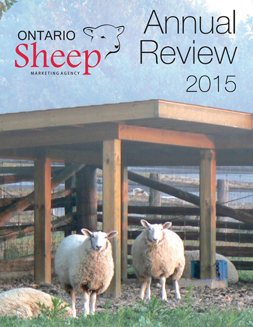 2015 Annual Review